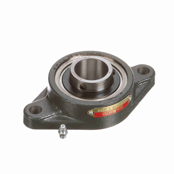 Mounted Cast Iron Two Bolt Flange Ball Bearing, SFTMH-19